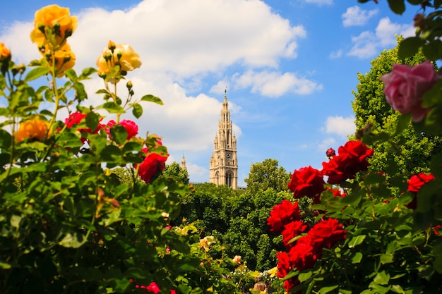 Photo bell tower of st. stephen's cathedral, vienna