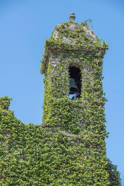Photo a bell tower with green ivy on it