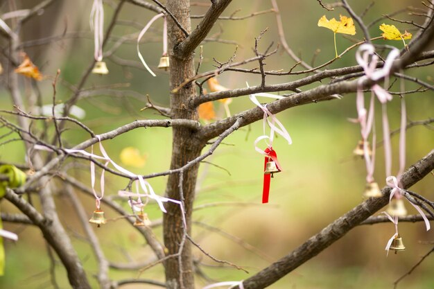 写真 赤い記念リボンが木の枝にぶら下がっている鐘、記念碑