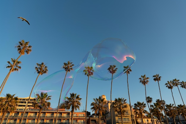 Bellenblazer van zeep vliegt in de heldere lucht tussen palmbomen in de zomer in de buurt van gebouwen bubble
