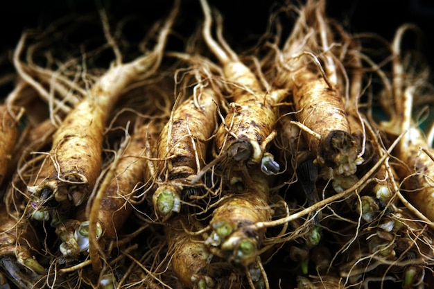 Bellflower deodeok and ginseng