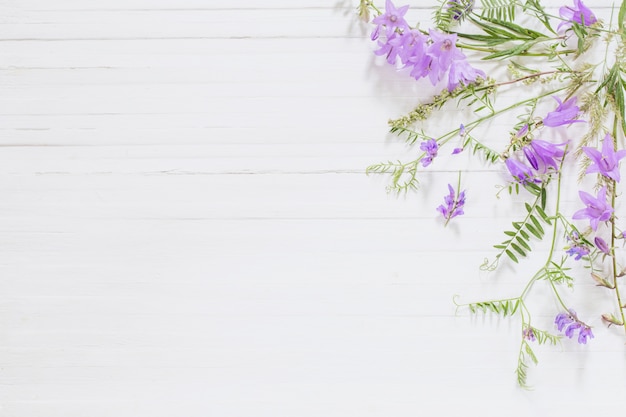 Bellflower on white wooden background