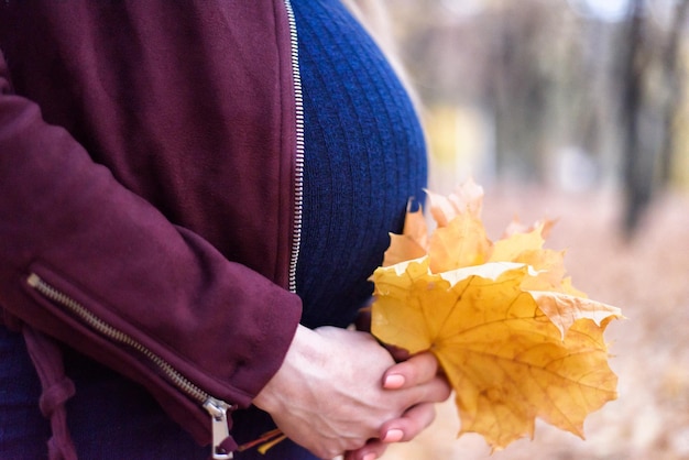 Belly of a pregnant woman Eighth month Bouquet of yellow leaves in the hands Autumn park on the background