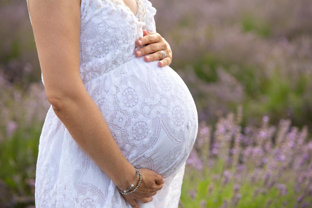 Belly of a pregnant woman in a lavender field