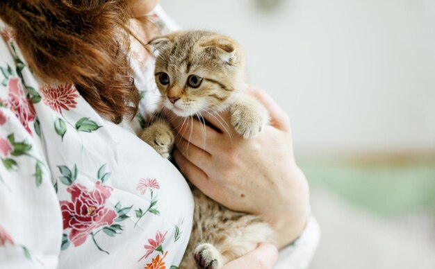 Photo beloved kitten playing in the natural atmosphere of a beautiful home