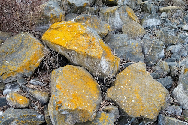 Bemoste oude rotsen gele bemoste rotsblokken bemoste rotsen en richting het noorden