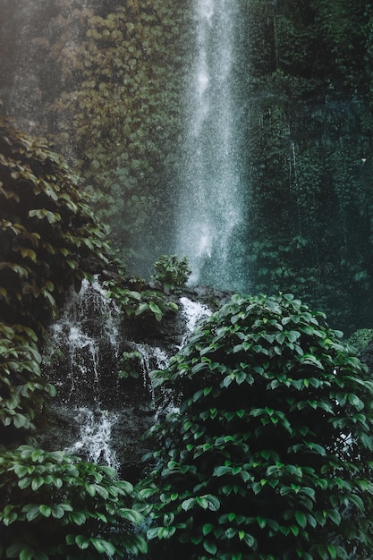 Foto benang kelambu waterval in lombok west nusa tenggara