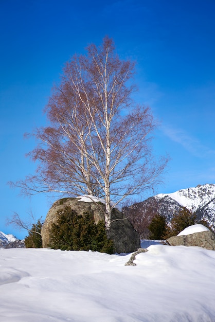 Benasque bergen Cerler in de Pyreneeën Huesca Spanje