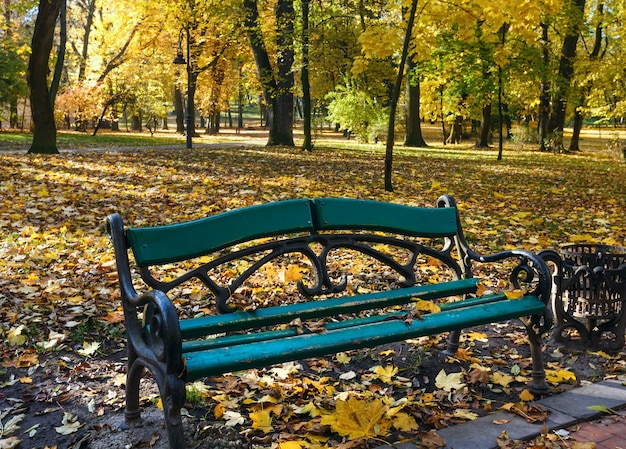 Скамейка в осеннем городском парке с желтыми листьями под деревьями.