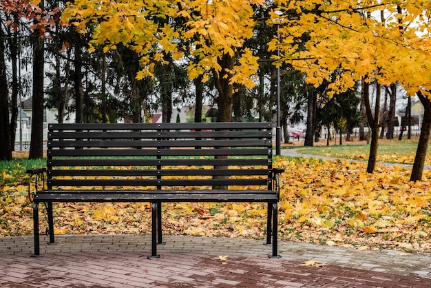 Скамейка в осеннем парке. Осенний пейзаж