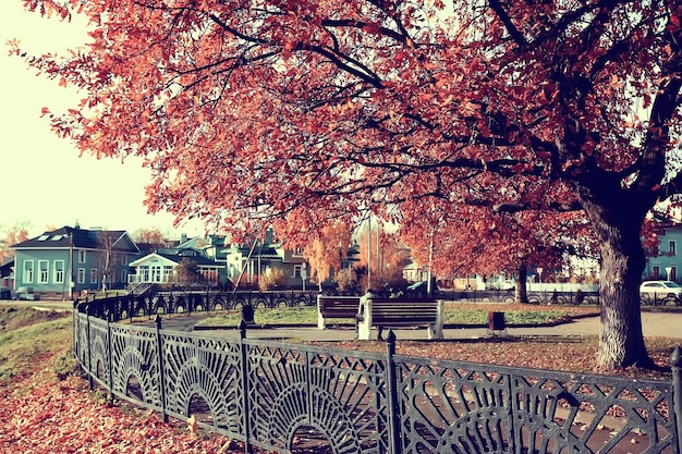 가을 공원 풍경의 벤치 / 가을 외로운 공원의 계절 풍경 휴식