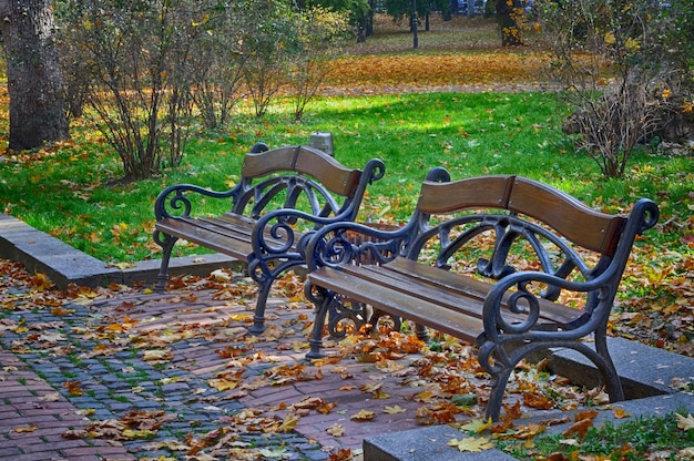 Скамейка в осеннем парке