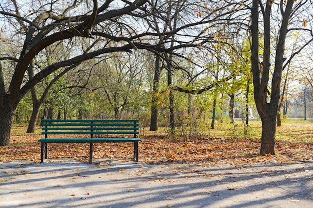 秋の公園のベンチ