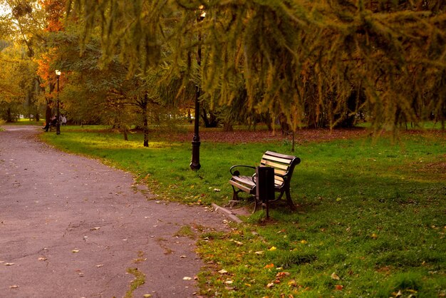 Bench in autumn park