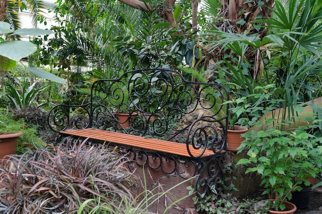 Bench in the Botanical greenhouse. tropical decorative orangery