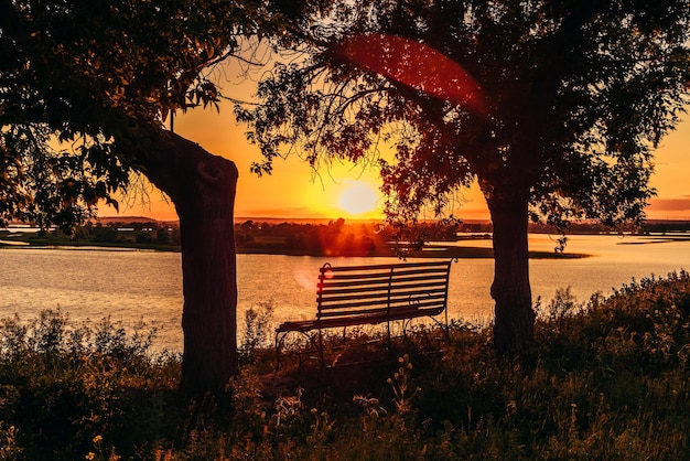 Bench by the River