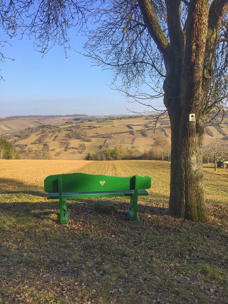 Photo bench by tree on field against sky