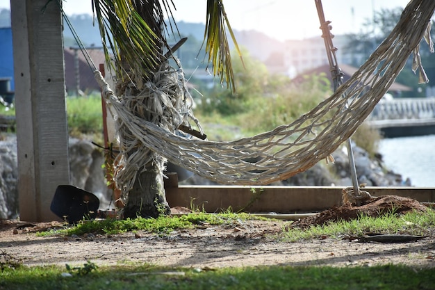 Foto bench elektrische paal in het openbare park en kokosnoot boom geïsoleerd op de stad en de zee uitzicht