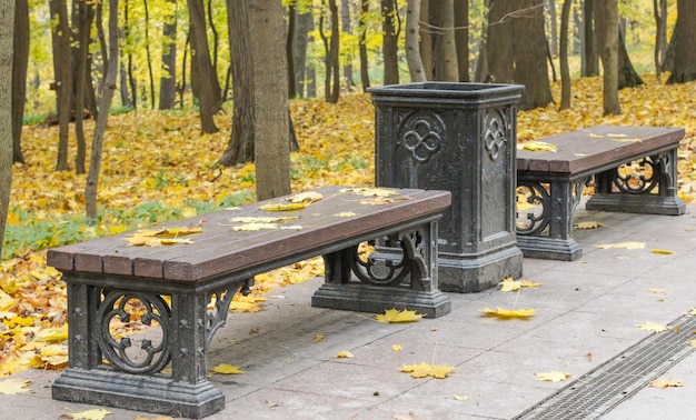 Bench in an empty autumn park among yellow foliage