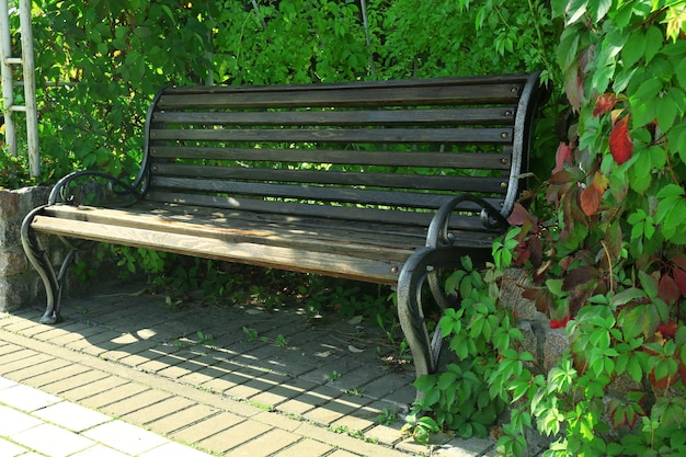 Bench in green city park