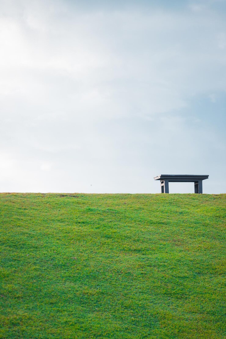 Photo 空の向こうの緑の草原のベンチ 空っぽですが平和です