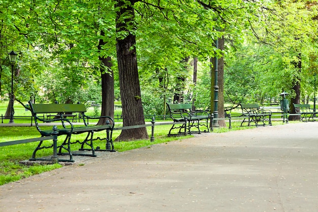 Bench in green park