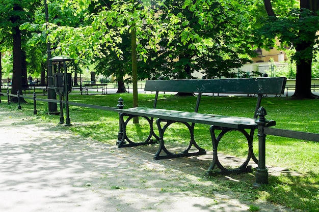 Bench in green park