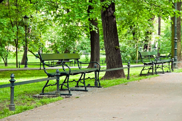 Bench in green park