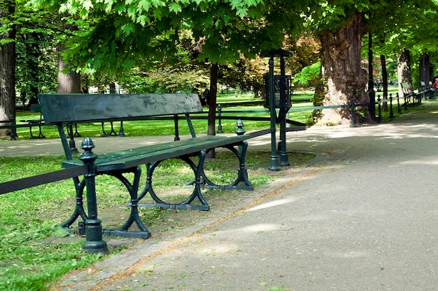 Bench in green park