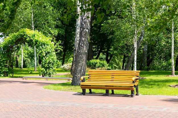 Фото Скамейка в местном парке