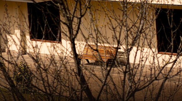 A bench is sitting in front of a building with bare branches.