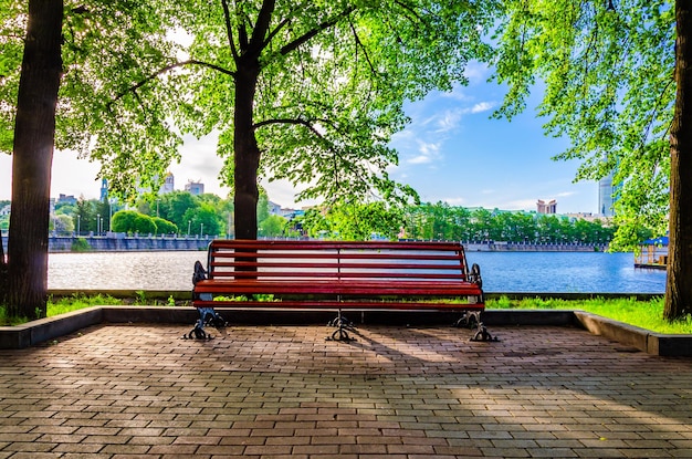 A bench on the lake shore on a summer day.