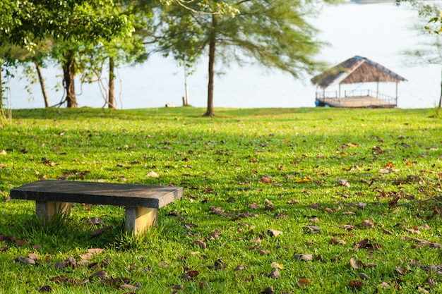 Bench on the lawn.