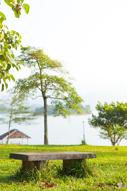 Bench on the lawn.