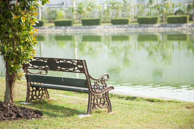 Bench on the lawn