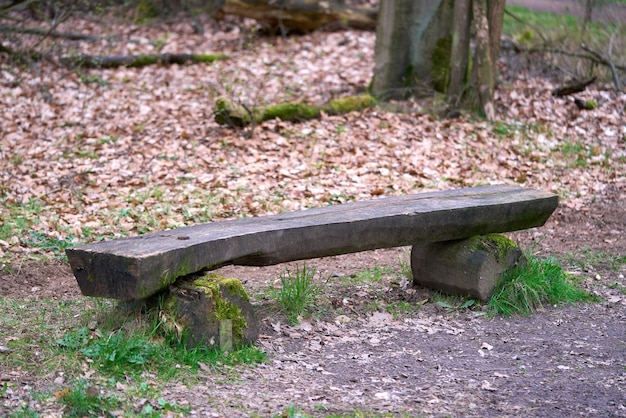 Photo bench made of wood in the forest