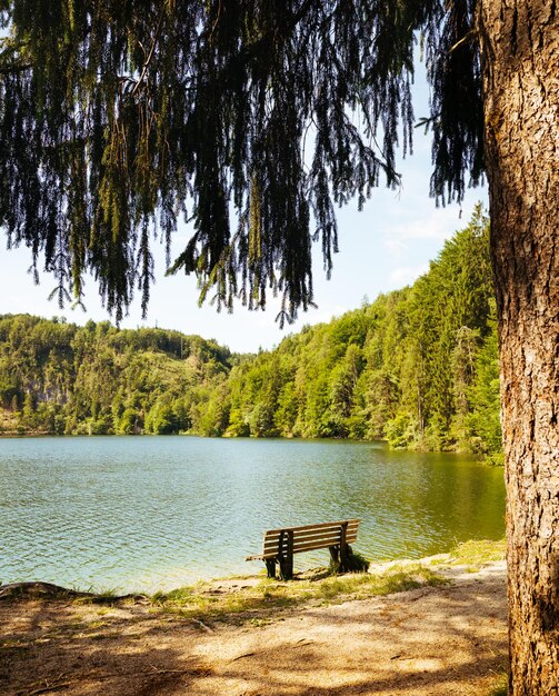 Bench near the picturesque mountain lake in the Alps