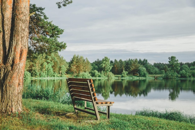 bench overlooking the lake and forest