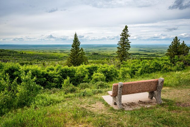 Una panchina che si affaccia sul punto panoramico nel parco interprovinciale di cypress hills saskatchewan