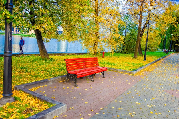 A bench in the park in autumn near the river.