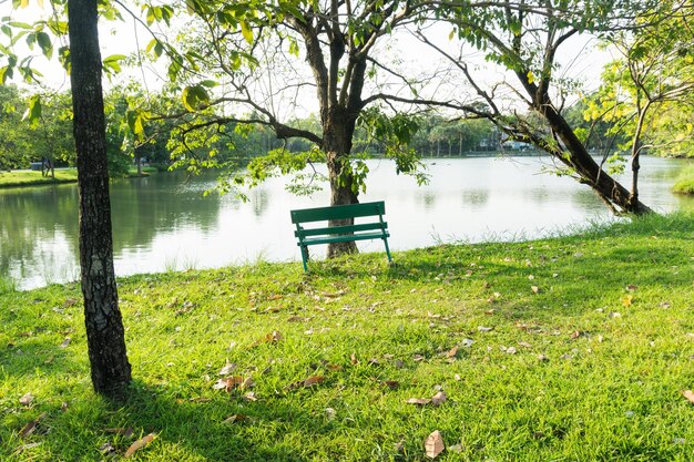 Photo bench in park by lake