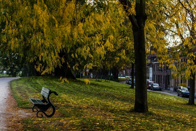 Bench in park during autumn