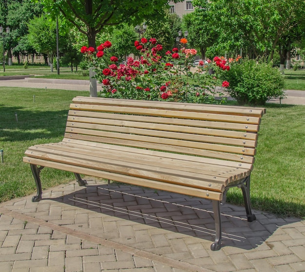 Bench in the park in springLandscape