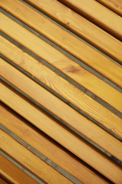 Bench in a park on a sunny autumn morning Morning walk