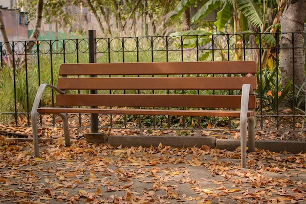 Bench in the park with dry leaves on the floor