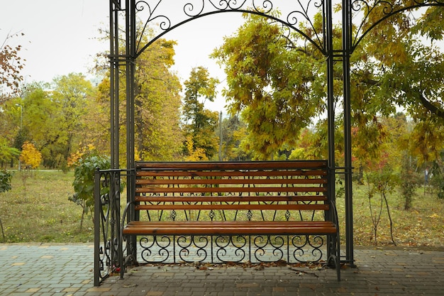 Bench in park with trees with autumn leaves