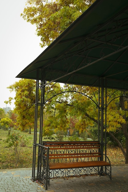 紅葉の木々のある公園のベンチ