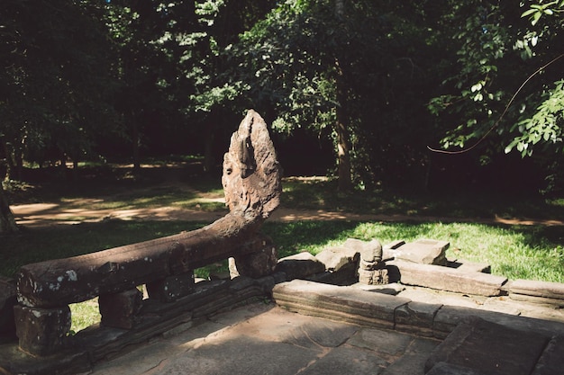 Photo bench in park