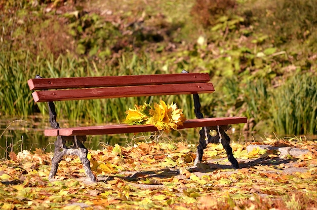 Bench in the park