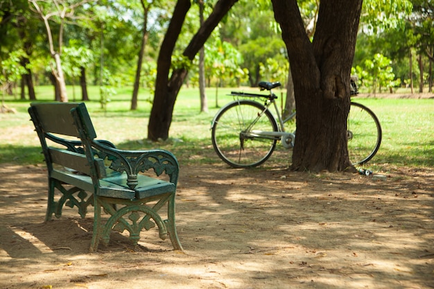 Bench in the park.